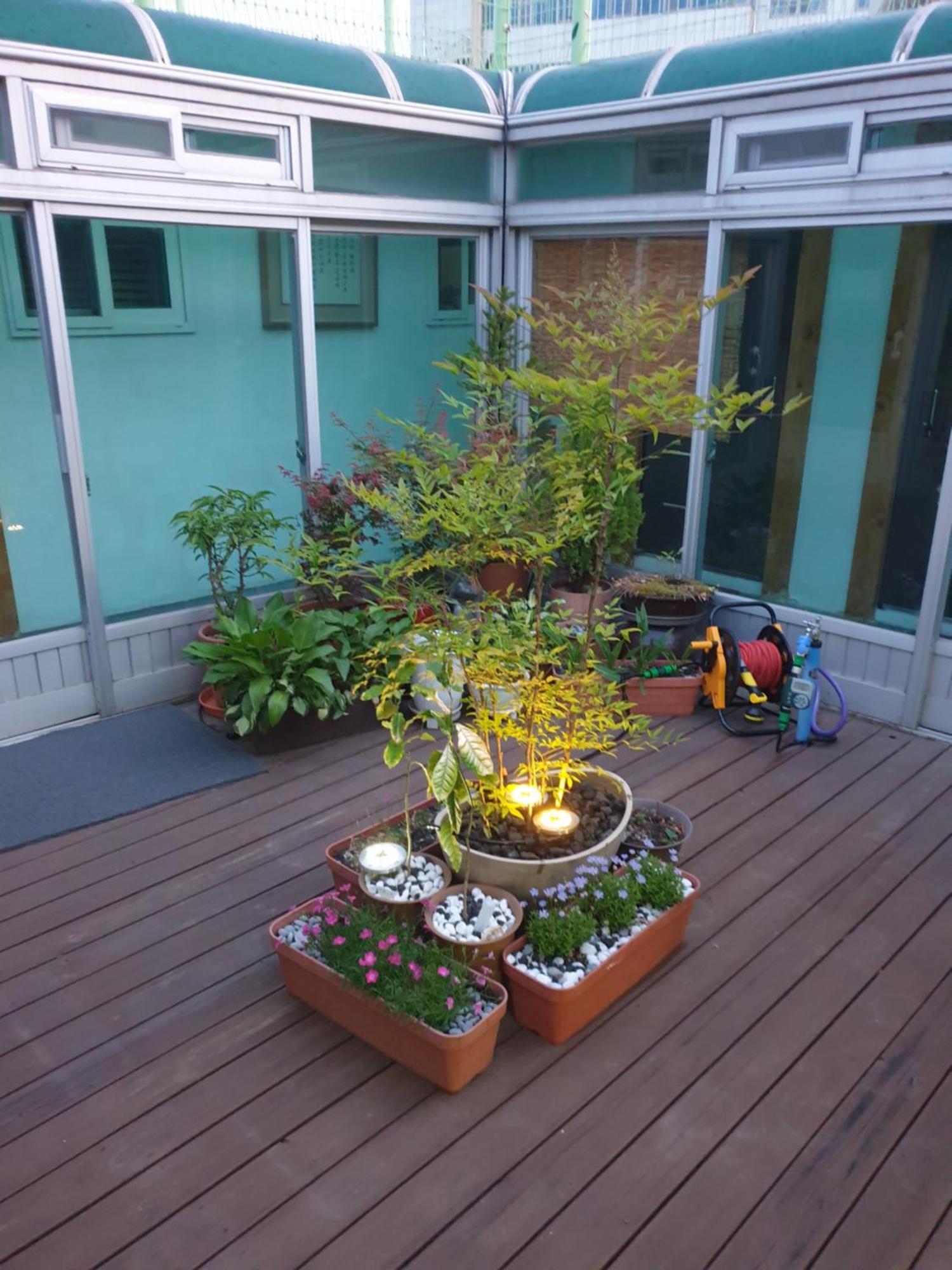 Dal Garam Guesthouse Kangnung Exteriér fotografie