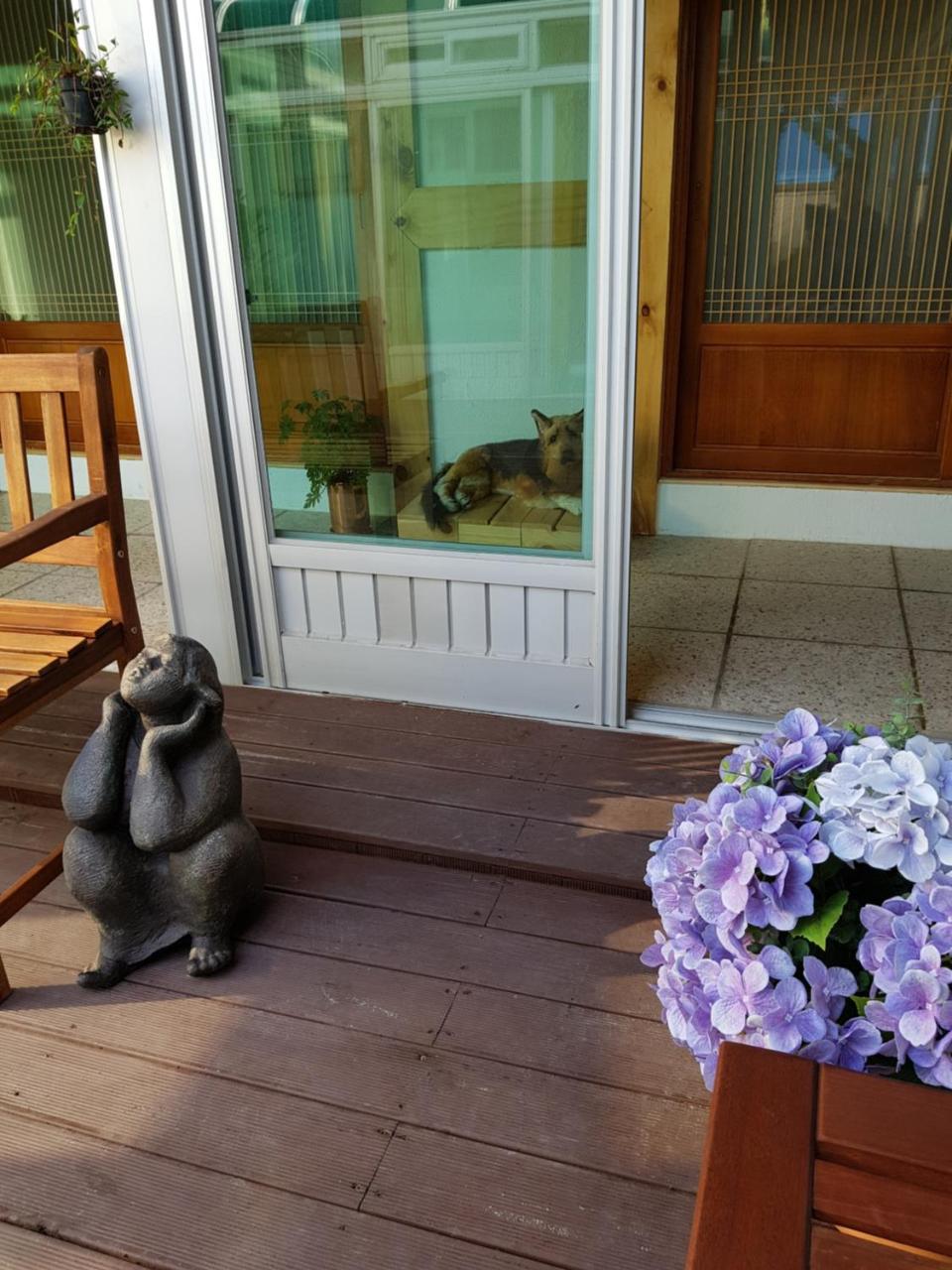 Dal Garam Guesthouse Kangnung Exteriér fotografie